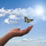 hand, butterfly, clouds-3751159.jpg