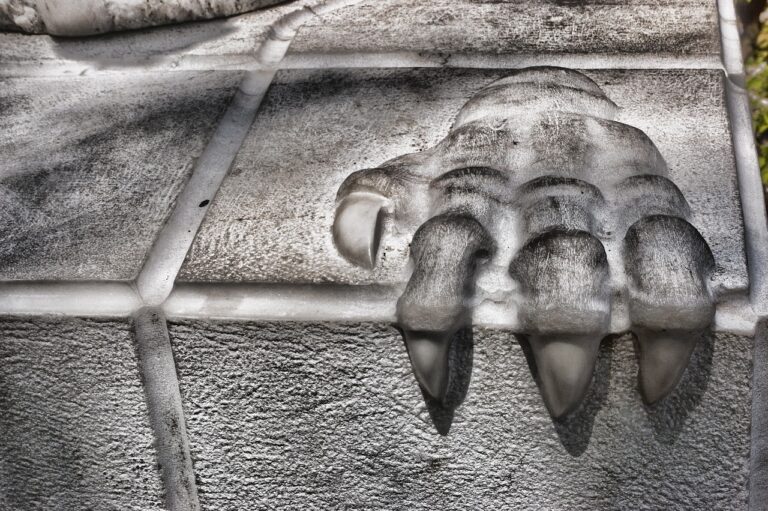 paw, stone, relief-1734899.jpg