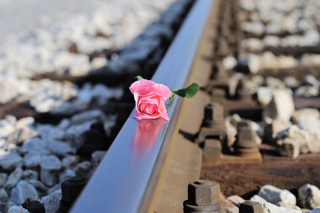 stop children suicide, stop teenager suicide, pink rose on railway-2803392.jpg