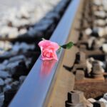 stop children suicide, stop teenager suicide, pink rose on railway-2803392.jpg