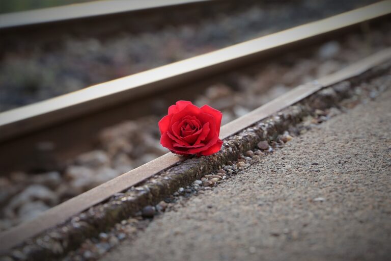 stop youth suicide, red rose near rail, remembering all victims-3663311.jpg