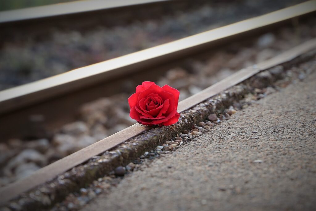 stop youth suicide, red rose near rail, remembering all victims-3663311.jpg