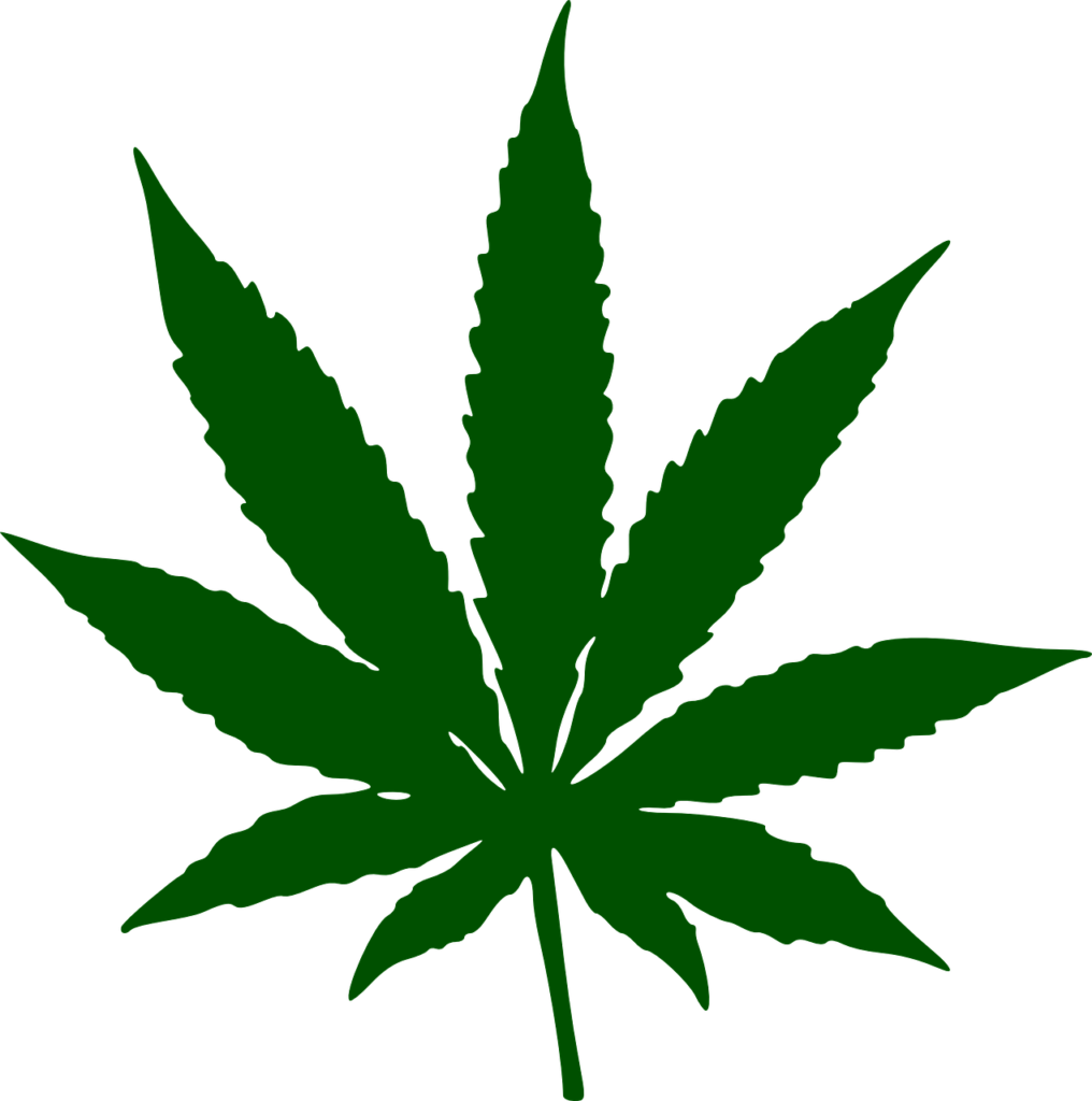 marijuana, leaf, drug-34353.jpg