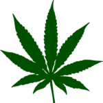 marijuana, leaf, drug-34353.jpg