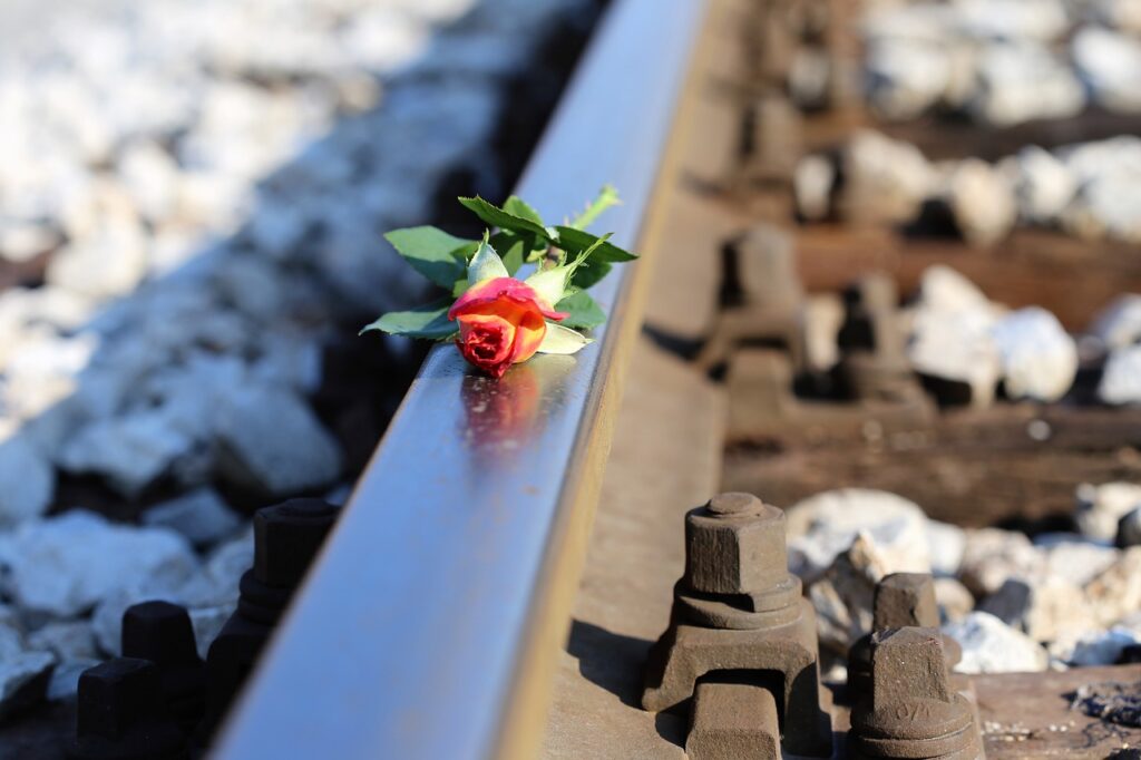 stop youth suicide, yellow red rose on railway, stop student suicide-2803631.jpg