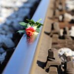 stop youth suicide, yellow red rose on railway, stop student suicide-2803631.jpg