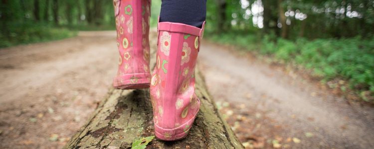 beautiful flowers, flower background, flower wallpaper-1746286.jpg