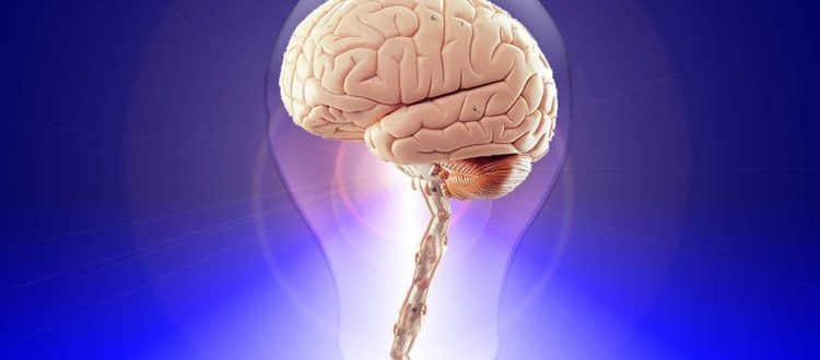 brain, think, human-20424.jpg