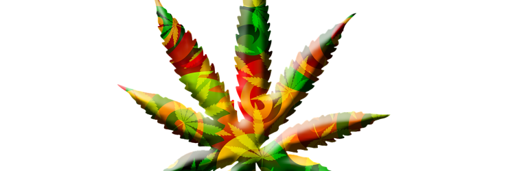 cannabis leaf, bright, graphic-714206.jpg