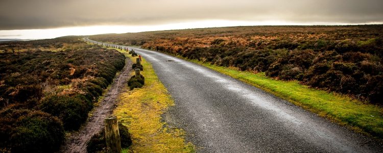 drive, road, travel-843075.jpg