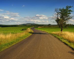 landscape, nature, grass-3127859.jpg