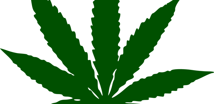 marijuana, leaf, drug-34353.jpg