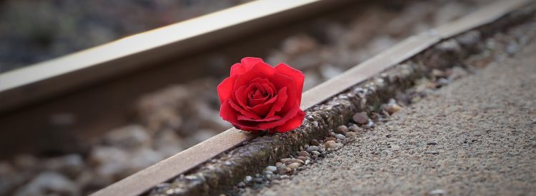 stop youth suicide, red rose near rail, remembering all victims-3663311.jpg