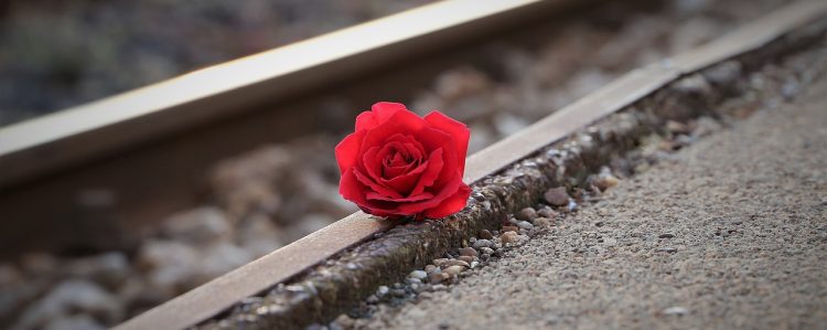 stop youth suicide, red rose near rail, remembering all victims-3663311.jpg